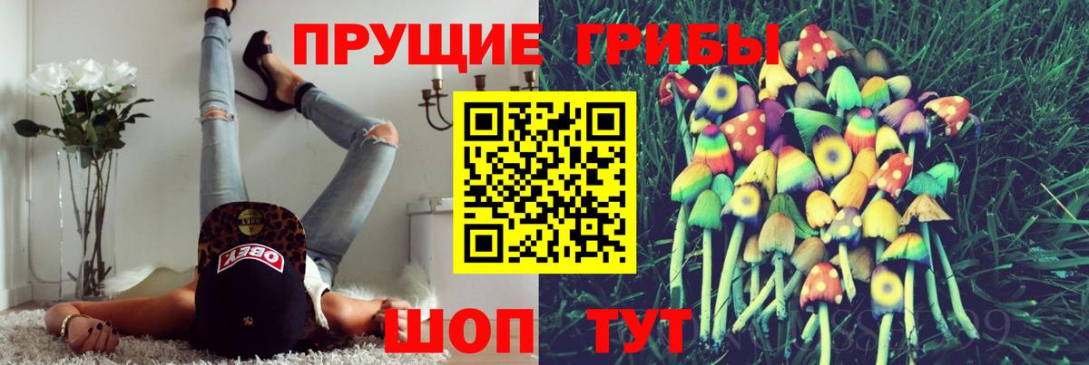 Галлюциногенные грибы GOLDEN TEACHER Гуково