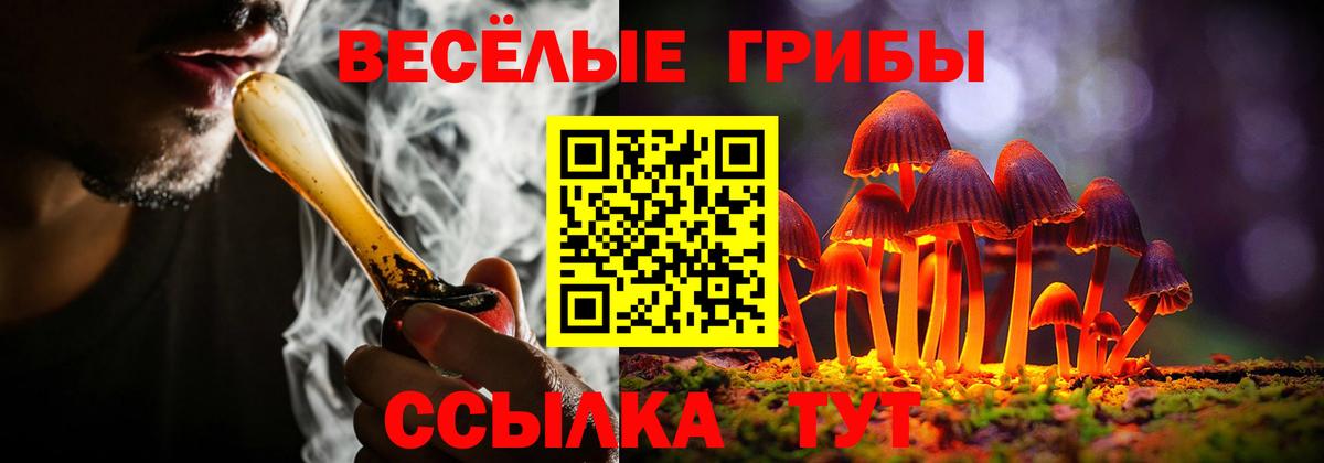Гуково  Псилоцибиновые грибы Cubensis  Вход с VPN 